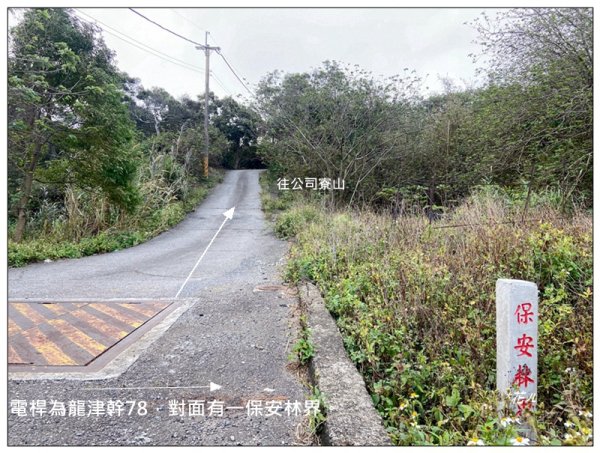 公司寮山 ( 苗栗、後龍 )3006155