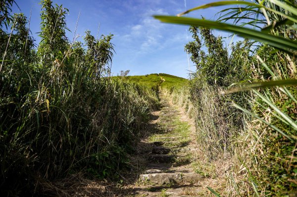 大屯山連峰步道｜陽明山小百岳2856248