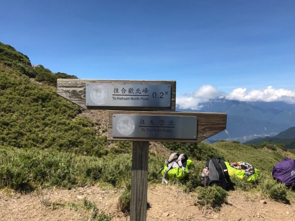 合歡山北峰559098