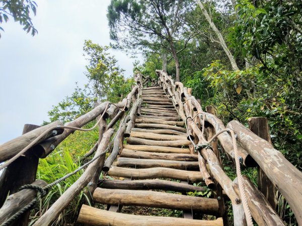 頭嵙山(小百岳#41)大坑4,5,1步道1003693