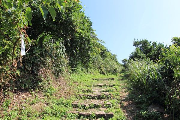 瑞芳南子吝登山步道204881