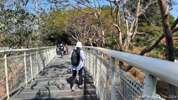 《彰化》慈眉大佛｜八卦山天空步道文學步道202401142401900