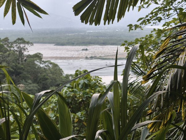 [漫遊縱谷 愛在花東-09/10] 2025_1012 米棧古道2913554