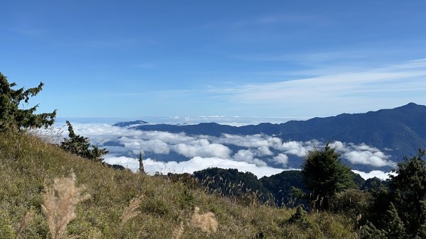 1141108-09桃山單攻2936094