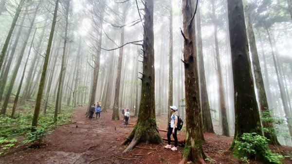 【中級山縱走】高島縱走（高台山，小島田山，中島田山，大島田山）2740975