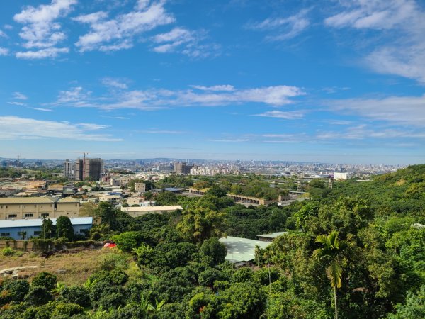 金螢寶山貴妃道2703227