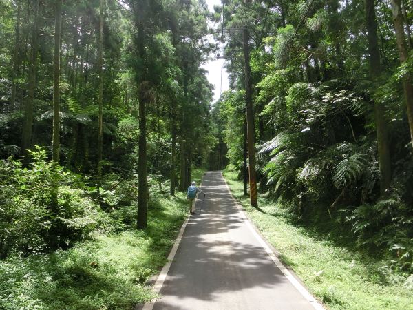 坪溪古道．太和山步道．石空古道146101