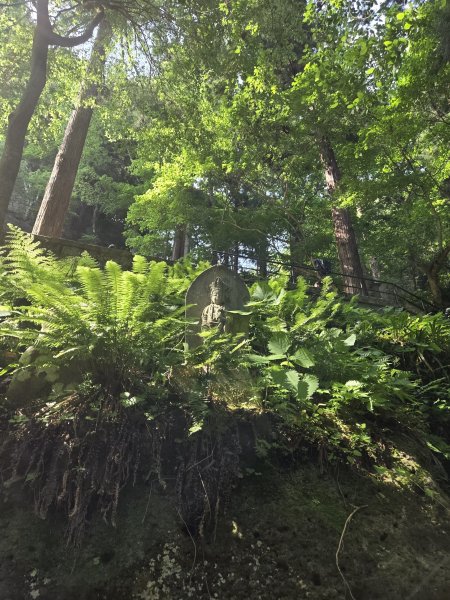 尋訪千年古剎『山寺』2858398