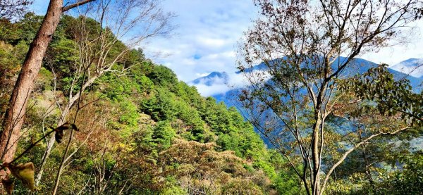 【中級山】谷關七雄波津加山2742318