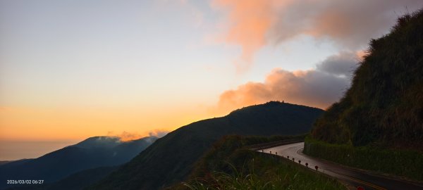 追花是簡單的快樂，賞花是恬淡的幸褔 3/2&73008748