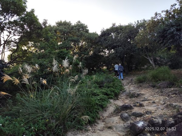 【臺北大縱走 5】碧山巖→忠勇山越嶺步道→金龍產業道路→圓明寺步道→鄭成功廟→潛園→格物台→劍潭古寺2959014