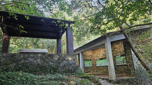 20251007冷水山西峰-三重橋山-挑硫古道-大油坑山前峰-大油坑山2907647