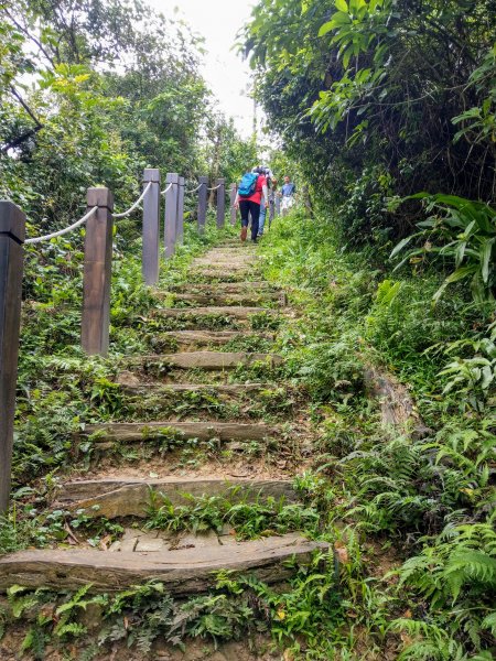 南勢角山(小百岳#16)下外挖子山步道987939