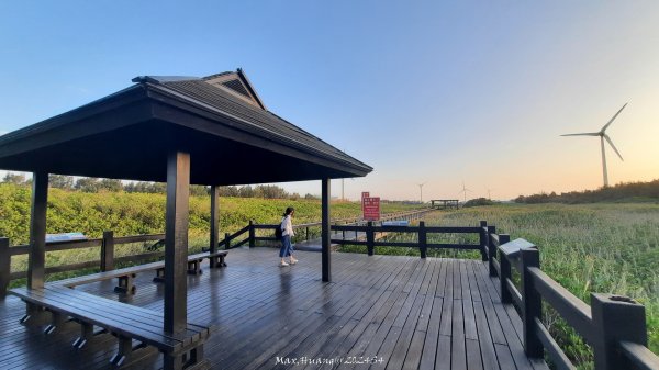 《台中》海濱夕陽｜龜殼生態公園連走大安紅樹林生態步道20241020封面