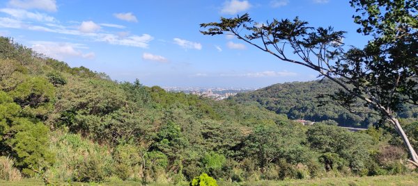 秀才登山步道2936917