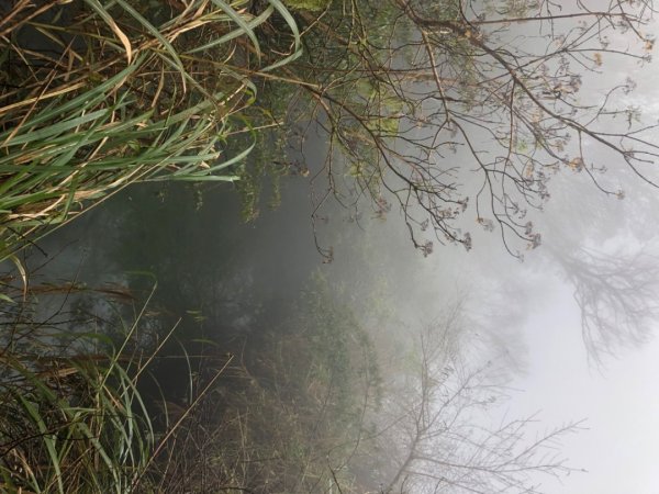 大白山+蘭崁山2695657