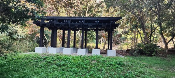 坑內坑森林步道2698775