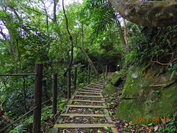 苗栗 南庄 小東河山1342216