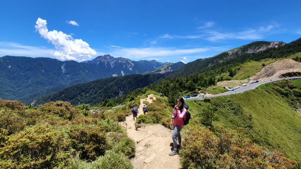 合歡山北峰， 石門山，霧峰奧山，青桐林生態園區，九九峰森林步道，桃源里森林步道，龍鳳谷森林步道1779154