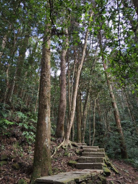 2023.12.27 東眼山2838850