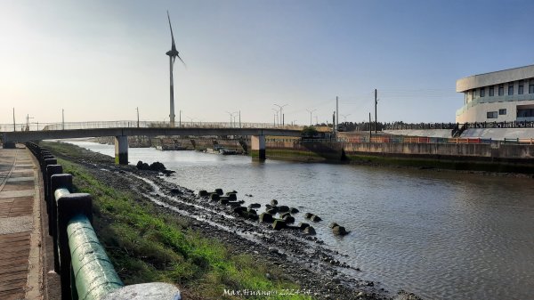 《台中》海濱夕陽｜龜殼生態公園連走大安紅樹林生態步道202410202632391