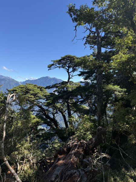 86庫哈諾辛山115.09.133124622