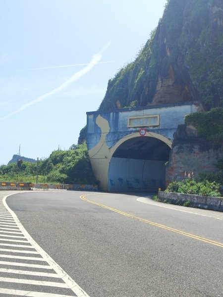 國聖涼亭-百合草原-野柳-駱駝峰-萬里橋頭3057431