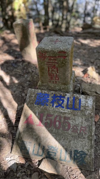 20260214 小百岳藤枝山3003001