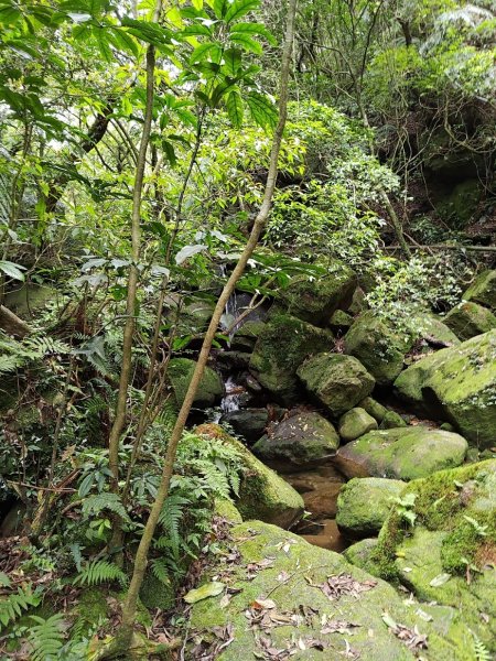 臺北大縱走第四段 風櫃口至中華科技大學2774225