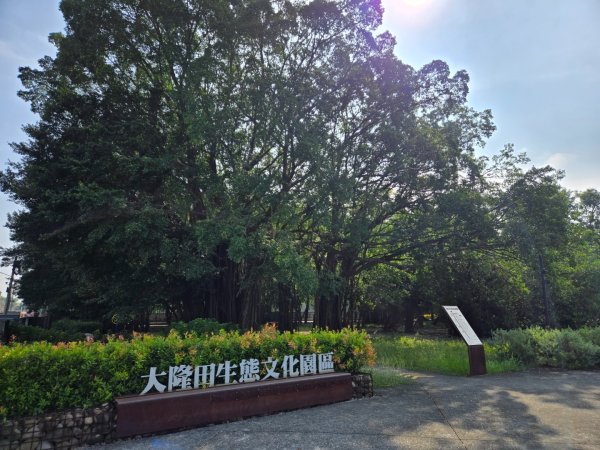 川文山森林保育農場（小陽明山）+大隆田生態園區2644860