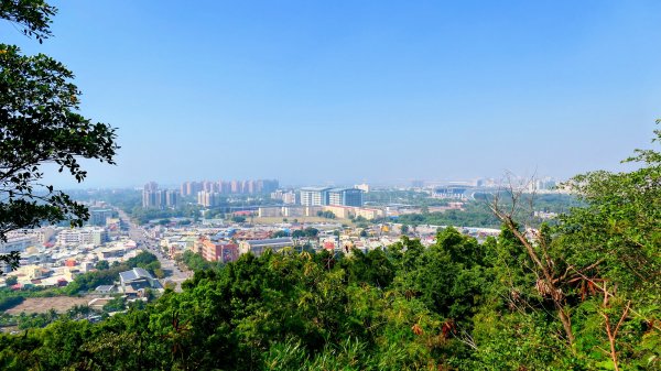 左營半屏山2954323