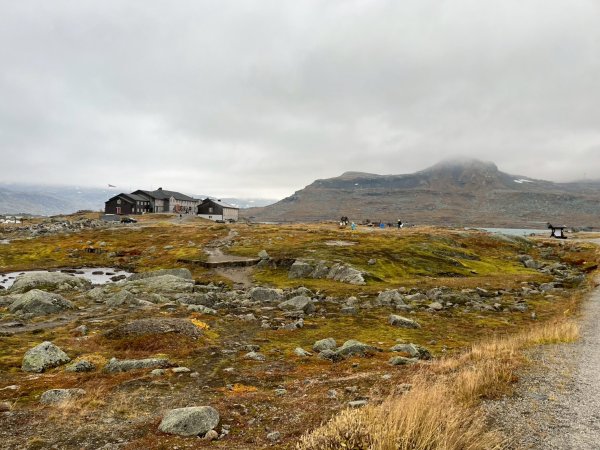 Norway-FINSE-Hardangervidda冰河高原健行-未竟2917794