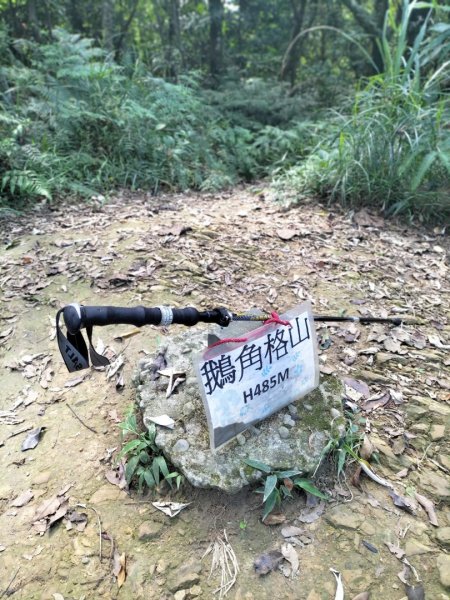 銀河-楣子寮溪-肆方巖-四面頭山-十六分山-三玄宮山-鵝角格山-樟湖-銀河2544630