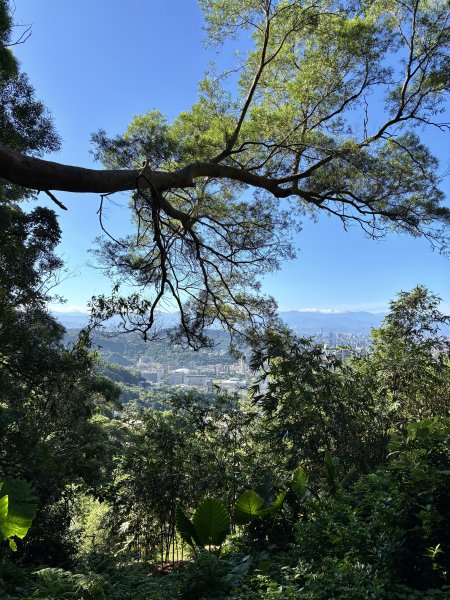 天母古道 + 紗帽山2913893