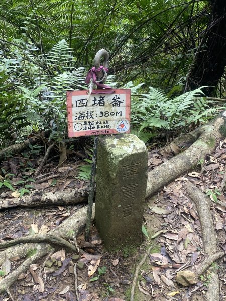 【淡蘭古道尋寶任務】淡蘭南路第四段｜𩻸魚堀溪自行車道至縣界公園2926447