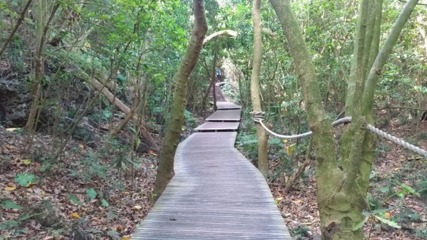 20191102高雄柴山步道720075