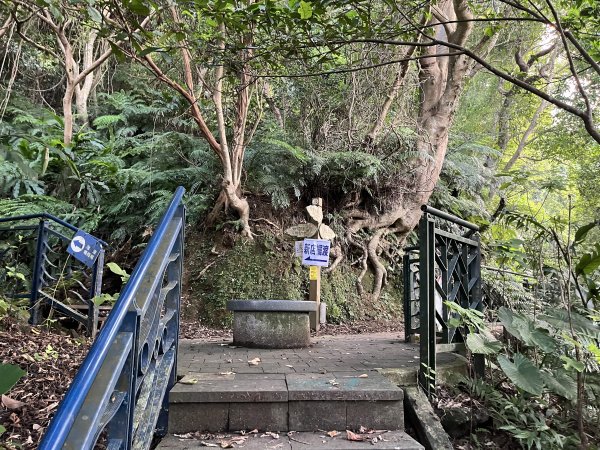 [微笑山線_第六段] 2025_0807 二格山系_和美山螢火蟲段2854608