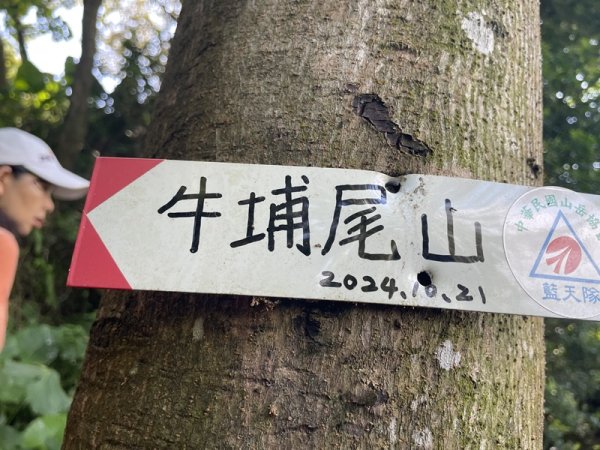 【大棟山系】百年大榕樹2858096