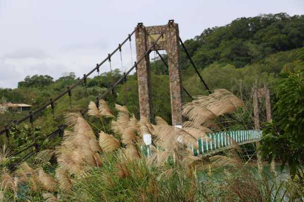 綠意盎然湖光山水好散步~寶山水庫環湖步道785970