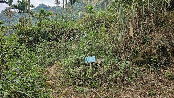 暗影山三進三出2366559