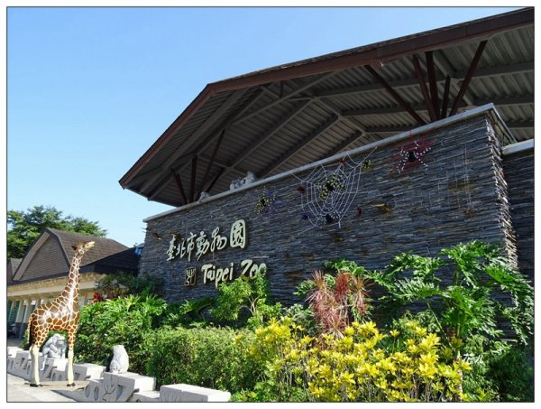 台北市動物園之旅1498029