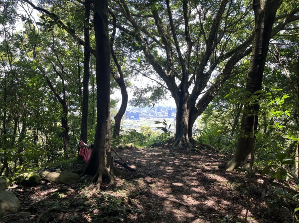 [跟著2025雙北世壯運探索雙北市-7/21] 2025_0615 疾風足球道（輔仁大學－明志路二段2814988