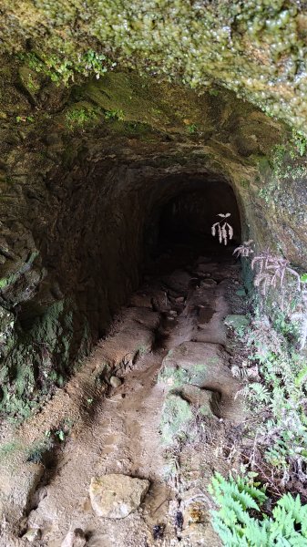 瑞芳小錐麓2714471