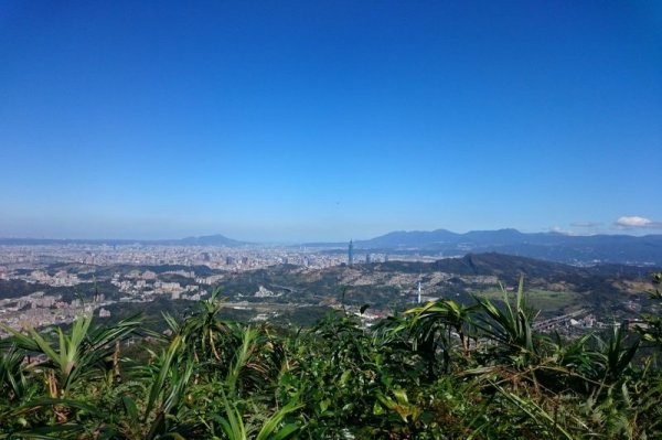 【路線】夏日古道之旅  茶香古道