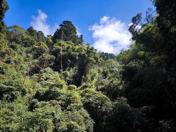 2025-09-14 奮起湖2887406