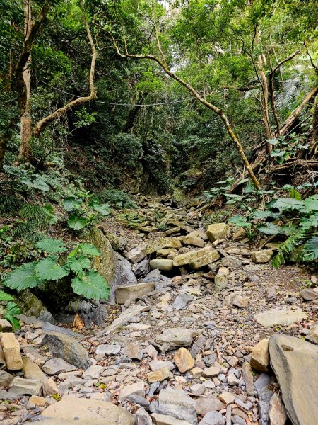 女仍山-小百岳#79-屏東縣獅子鄉2732099