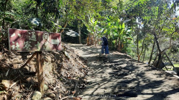 《南投》古道巡禮｜八通關古道社寮線蜈蚣崙段202511152937034