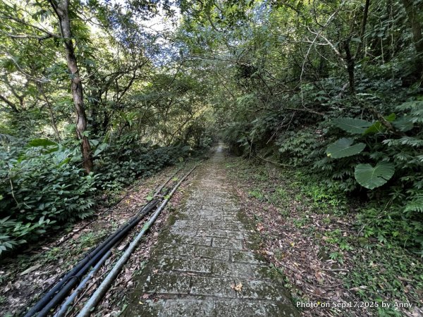 微笑山線【五分山系】菁桐煤礦段＋平溪小黃山段2906699