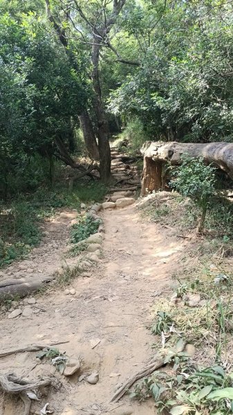 20251018 三義火炎山 南鞍古道 O型2920407