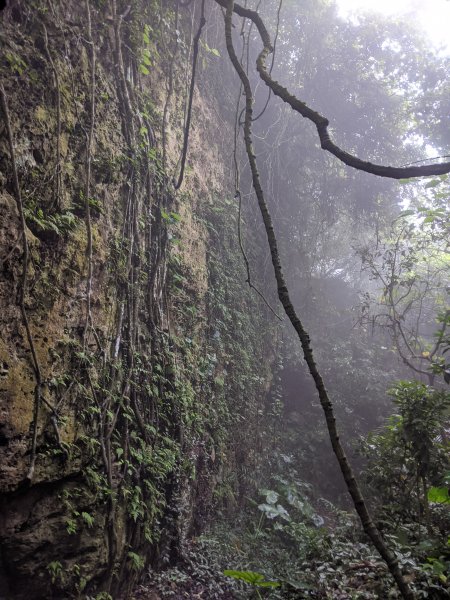 【高雄柴山】越野跑1171295